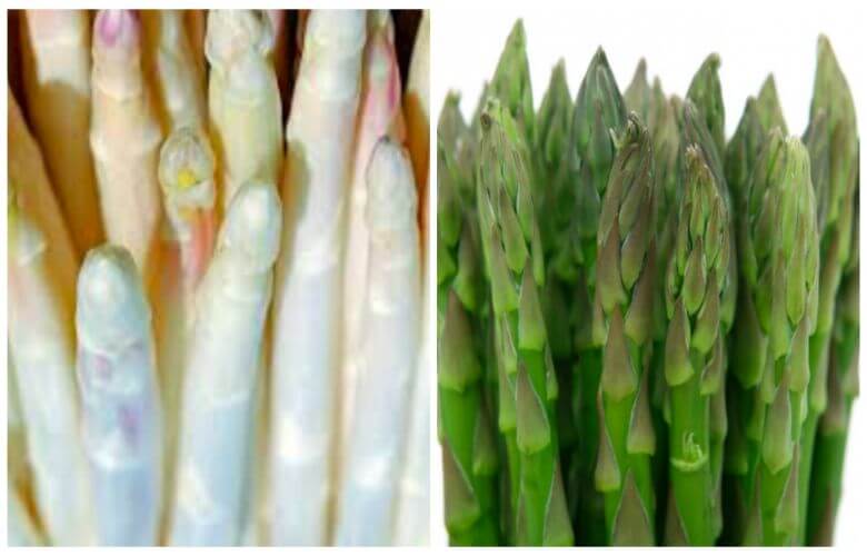 Kookfans geeft antwoord dit is het verschil tussen witte en groene asperges Kookfans geeft antwoord dit is het verschil tussen witte en groene asperges