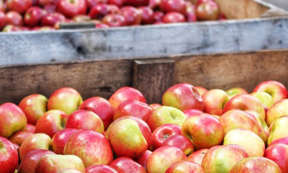 Dit is waarom er zoveel 'nieuwe' appelsoorten zijn Dit is waarom er zoveel 'nieuwe' appelsoorten zijn