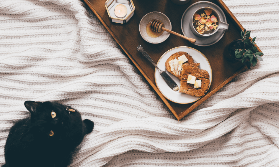 Niet voor de poes: déze etenswaren zijn schadelijk voor katten